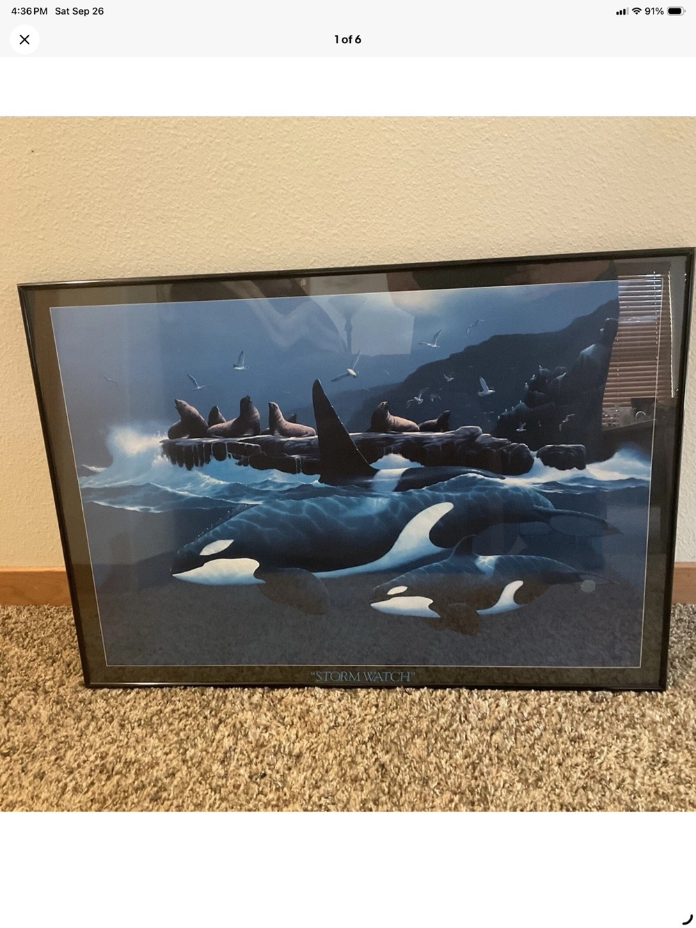 STORM WATCH Vintage DON MCMICHAEL art serigraph Orcas Seals print Framed Ocean